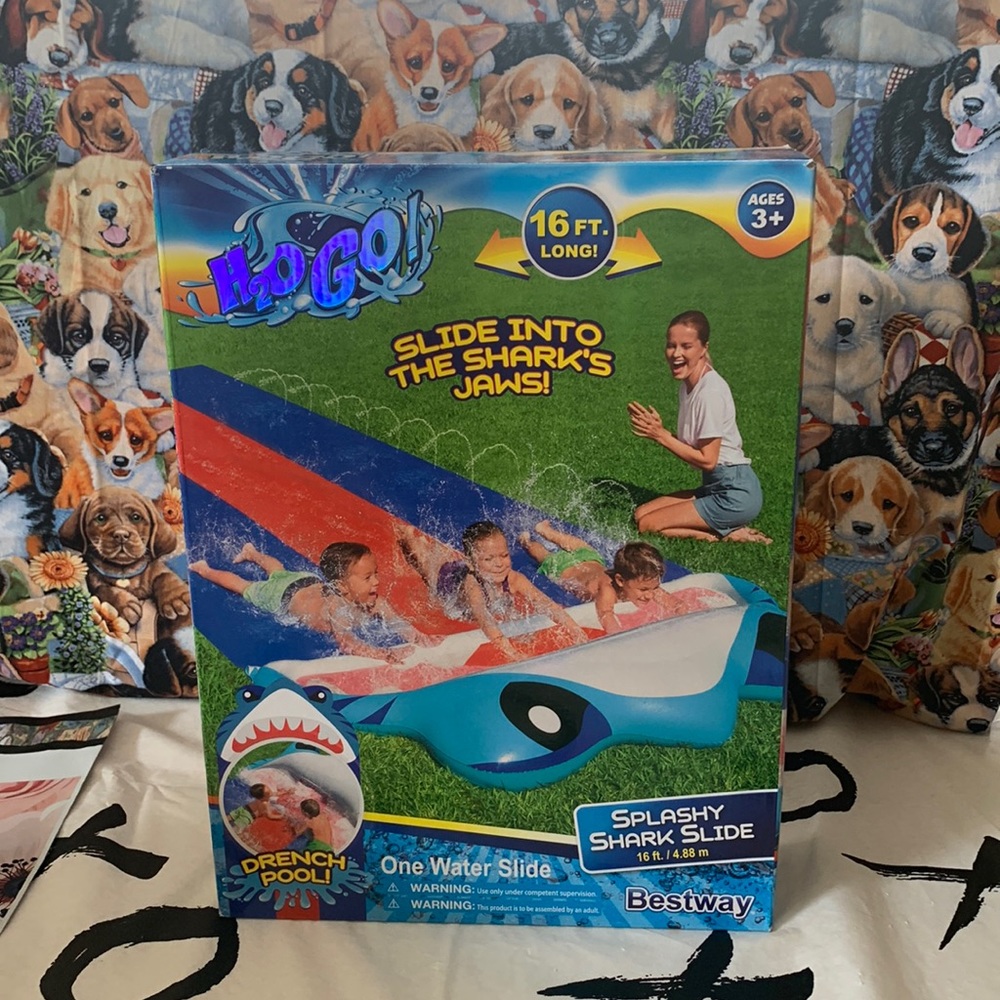 Splashy shark slide